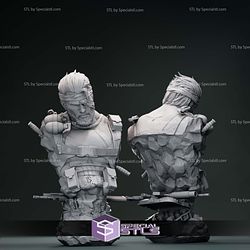 Punisher Warrior Bust 3D Printer Files