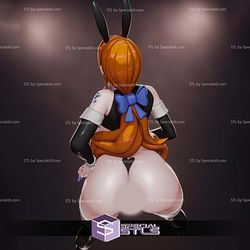 Reverse Bunny Suit Nami One Piece 3D Printer Files