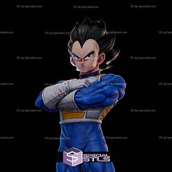 Vegeta Z Warrior 3D Printer Files