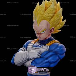 Vegeta Z Warrior 3D Printer Files