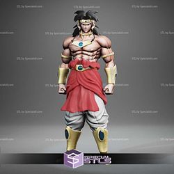 Broly Classic Merge Version 3D Printer Files