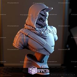 Cayde-6 Destiny Bust 3D Printer Files