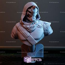 Cayde-6 Destiny Bust 3D Printer Files