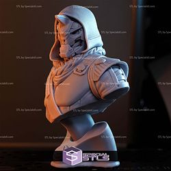 Cayde-6 Destiny Bust 3D Printer Files