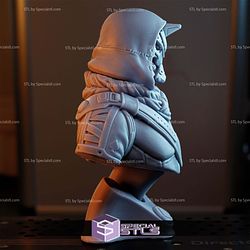 Cayde-6 Destiny Bust 3D Printer Files