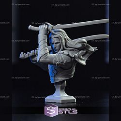 Drizzt Do Urden Bust Baldurs Gate 3D Printer Files