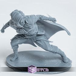 Halfling Rogue Fanart 3D Printer Files