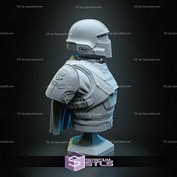 Helldiver and Flag Helldiver 2 Bust 3D Printer Files