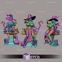 NSFW Collection - Sorceress Dragon Crown 3D Printer Files