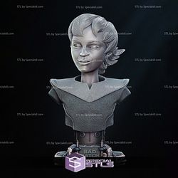 Omega Portrait Bust Bad Batch Starwars 3D Printer Files