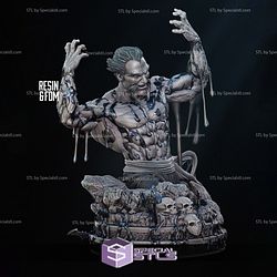 Ras Al Ghul Bust 3D Printer Files