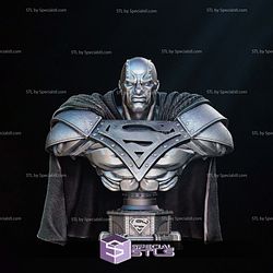 Steel DC Heroes Bust Portrait 3D Printer Files