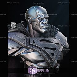 Steel DC Heroes Bust Portrait 3D Printer Files