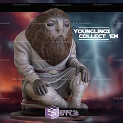 Acolyte Younglings Starwars 3D Printer Files