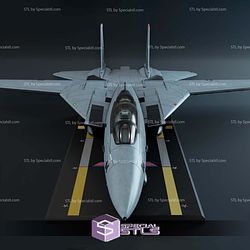 F-14 Tomcat 3D Printer Files