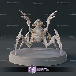 Terminid Warrior Vairous Pose STL Miniatures