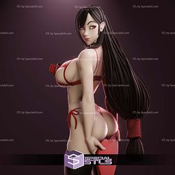 Valentine Tifa NSFW 3D Printer Files