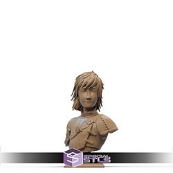 Hiccup Bust 3D Printer Files