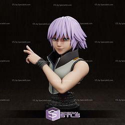 Riku Bust 3D Printer Files