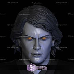 Custom Head STL Collection - Anakin Skywalker