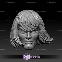 Custom Head STL Collection - He Man