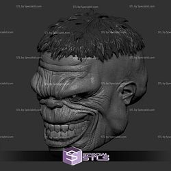 Custom Head STL Collection - Hulk Smile
