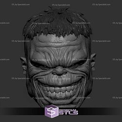 Custom Head STL Collection - Hulk Smile