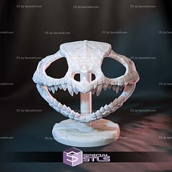 Pokemon Skull Collection 3D Printer Files