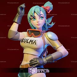 Bulma Young Girl Dragonball 3D Printer Files