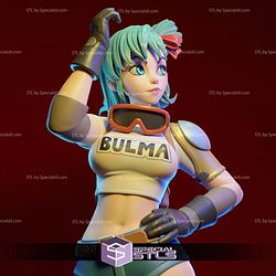 Bulma Young Girl Dragonball 3D Printer Files