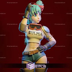 Bulma Young Girl Dragonball 3D Printer Files