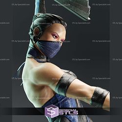 Kitana 2 Fan Mortal Kombat 3D Printer Files