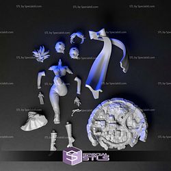 Sheena Fujibayashi Tales of Symphonia 3D Printer Files