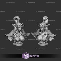 Tyrande Bust World of Warcraft 3D Printer Files