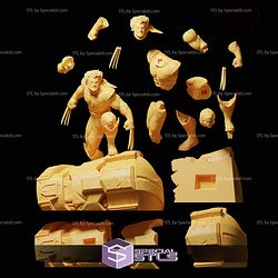 Wolverine on Sentinel Head 3D Printer Files