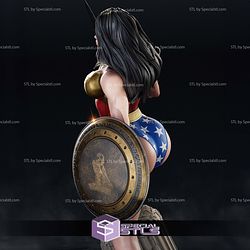 Wonder Woman Shield and Sword 3D Printer Files