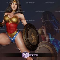 Wonder Woman Shield and Sword 3D Printer Files