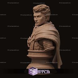 Aaron the Paladin Bust 3D Printer Files