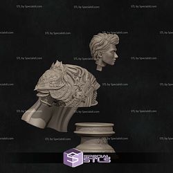 Aaron the Paladin Bust 3D Printer Files