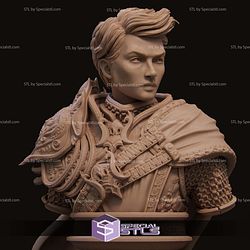 Aaron the Paladin Bust 3D Printer Files