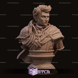 Aaron the Paladin Bust 3D Printer Files