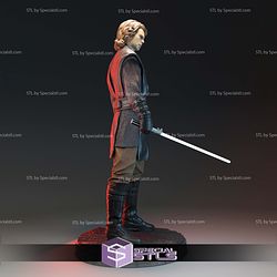 Anakin Skywalker and Lighsaber 3D Printer Files