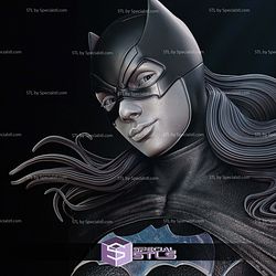 Batgirl 2024 Portrait Bust 3D Printer Files