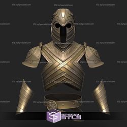 Cosplay STL Files House of the Dragon Kingsguard Armor