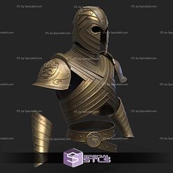 Cosplay STL Files House of the Dragon Kingsguard Armor