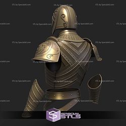 Cosplay STL Files House of the Dragon Kingsguard Armor