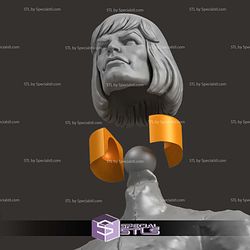 Custom Head STL Collection - Pack He Man