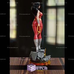 Donna Troy Red DC Hero 3D Printer Files