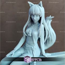 Holo Sitting Spice and Wolf 3D Printer Files