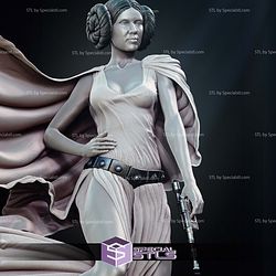 New Hope Leia 3D Printer Files